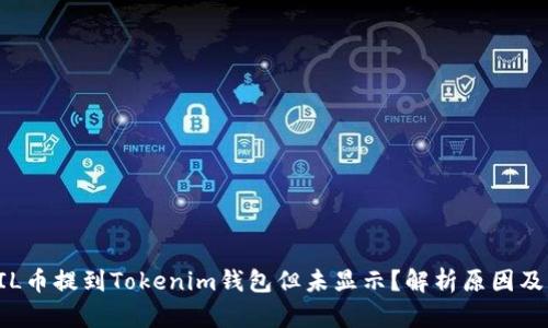 为什么FIL币提到Tokenim钱包但未显示？解析原因及解决方案
