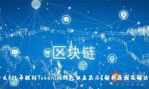 为什么FIL币提到Tokenim钱包但未显示？解析原因及解决方案