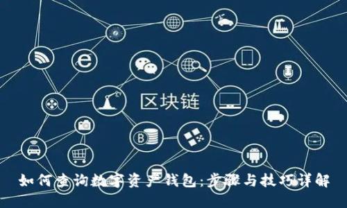 如何查询数字资产钱包：步骤与技巧详解