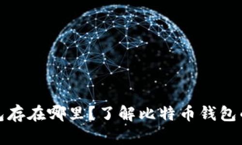 比特币加密钱包存在哪里？了解比特币钱包的类型与安全性