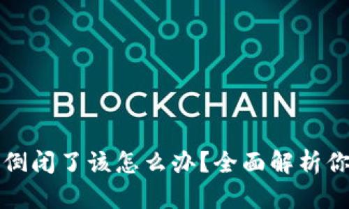 区块链钱包倒闭了该怎么办？全面解析你的应对策略