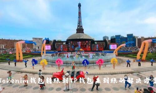 Tokenim钱包转账到TP钱包未到账的解决方案