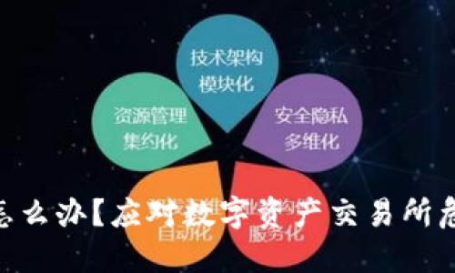Tokenim倒闭怎么办？应对数字资产交易所危机的实用指南