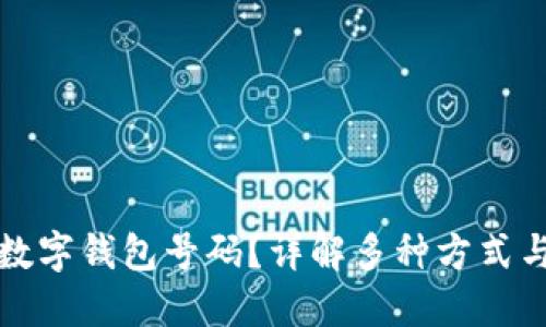 如何查询数字钱包号码？详解多种方式与实用技巧
