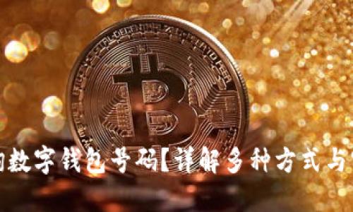 如何查询数字钱包号码？详解多种方式与实用技巧