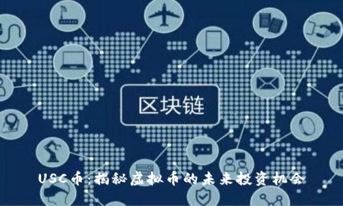 USC币：揭秘虚拟币的未来投资机会