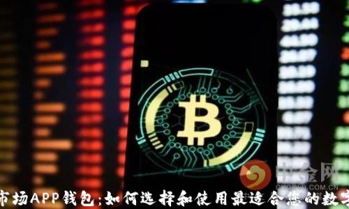 
加密货币一级市场APP钱包：如何选择和使用最适合您的数字资产管理工具