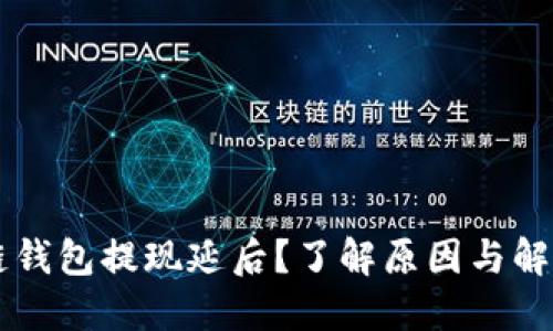 区块链钱包提现延后？了解原因与解决方法
