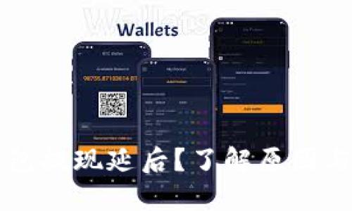 区块链钱包提现延后？了解原因与解决方法