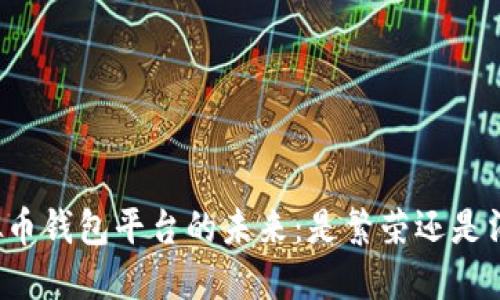 虚拟币钱包平台的未来：是繁荣还是消失？