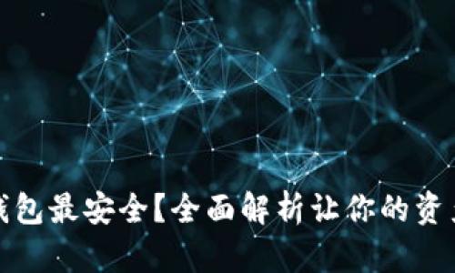 哪个数字钱包最安全？全面解析让你的资产更有保障