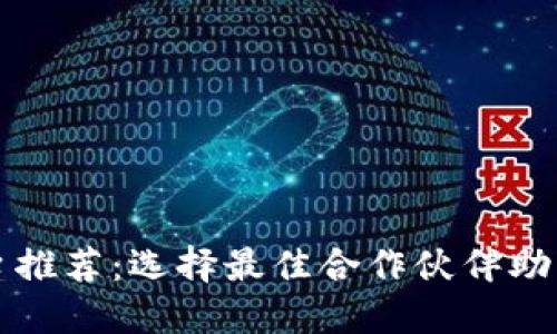 区块链钱包合作平台推荐：选择最佳合作伙伴助力您的数字资产安全