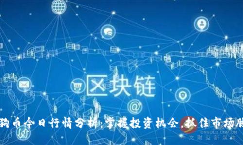 狗狗币今日行情分析：掌握投资机会，抓住市场脉搏