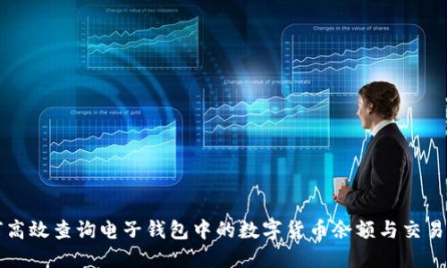 如何高效查询电子钱包中的数字货币余额与交易记录