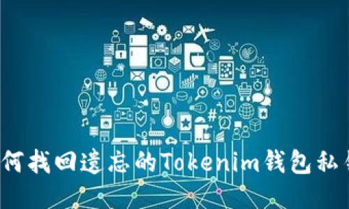 如何找回遗忘的Tokenim钱包私钥？