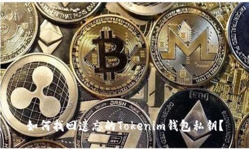 如何找回遗忘的Tokenim钱包私钥？