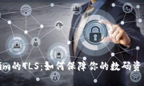 Tokenim的TLS：如何保障你的数码资产安全