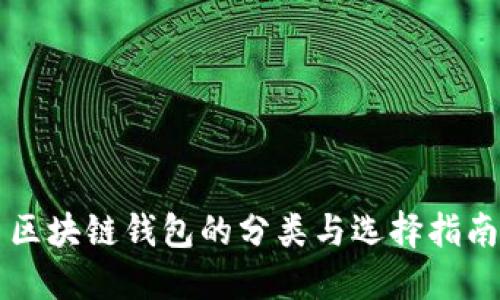 区块链钱包的分类与选择指南