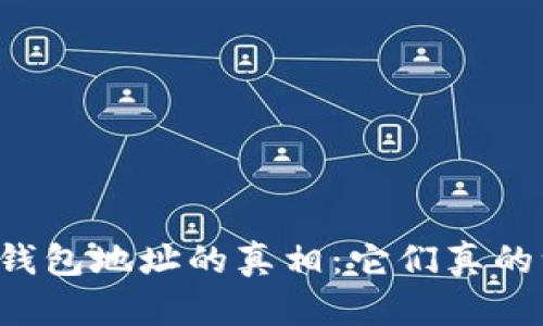区块链钱包地址的真相：它们真的一样吗？