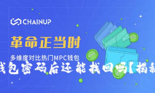 忘记Tokenim钱包密码后还能找回吗？揭秘安全恢复方法