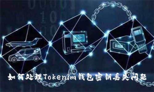 如何处理Tokenim钱包密钥丢失问题