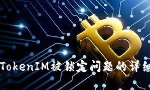 解决TokenIM被锁定问题的详细指南