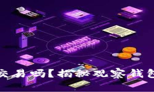 观察钱包可以交易吗？揭秘观察钱包的使用和优势
