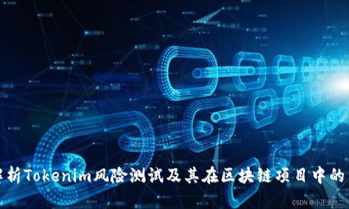 全面解析Tokenim风险测试及其在区块链项目中的重要性
