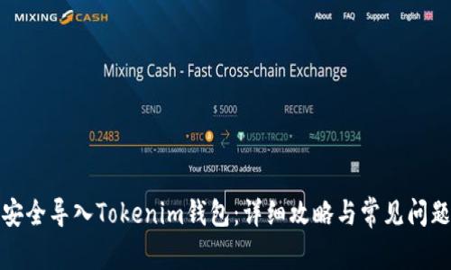 如何安全导入Tokenim钱包：详细攻略与常见问题解答