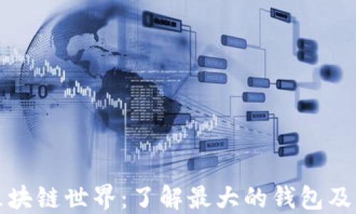 
探索区块链世界：了解最大的钱包及其功能