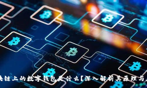 :  
区块链上的数字钱包是什么？深入解析其原理与应用