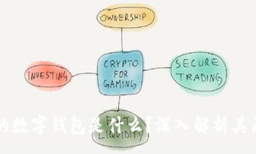 :  
区块链上的数字钱包是什么？深入解析其原理与应用