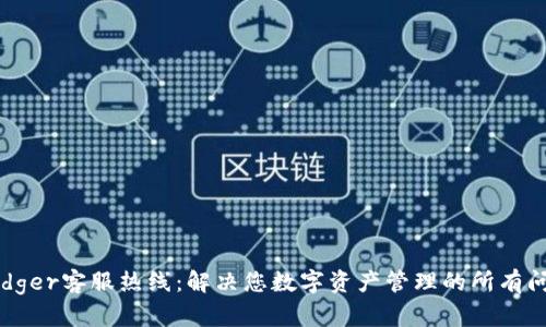 Ledger客服热线：解决您数字资产管理的所有问题