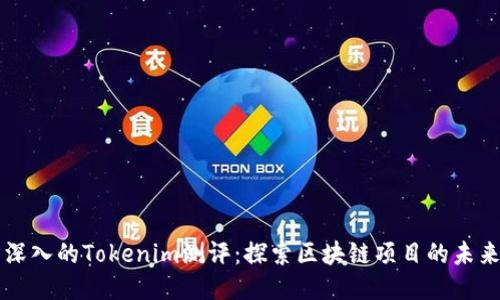 全面深入的Tokenim测评：探索区块链项目的未来潜力