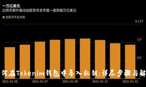 如何在Tokenim钱包中导入私钥：详尽步骤与解析