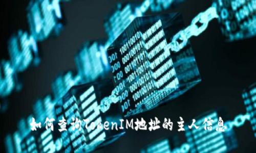 如何查询TokenIM地址的主人信息