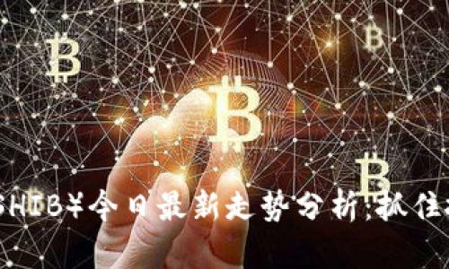 柴犬币（SHIB）今日最新走势分析：抓住投资机会