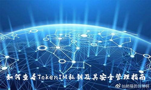 如何查看TokenIM私钥及其安全管理指南