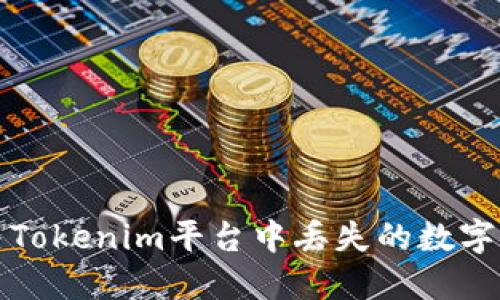 如何解决Tokenim平台中丢失的数字货币问题