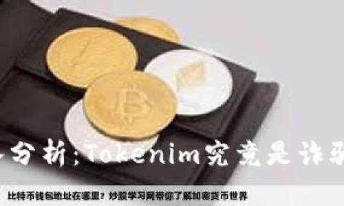 深入分析：Tokenim究竟是诈骗吗？