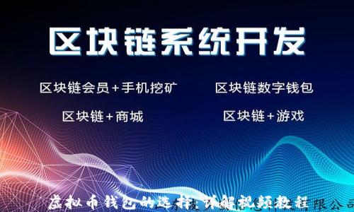 
虚拟币钱包的选择：详解视频教程
