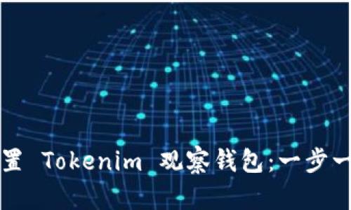 如何设置 Tokenim 观察钱包：一步一步指南
