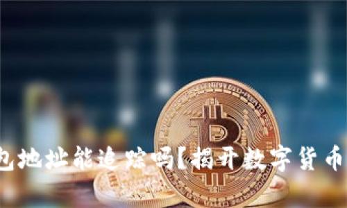  泰达币钱包地址能追踪吗？揭开数字货币隐私的真相