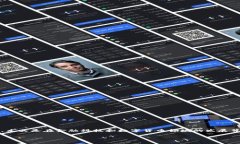 关于“香港是否支持Toke