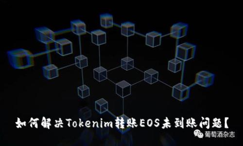 如何解决Tokenim转账EOS未到账问题？