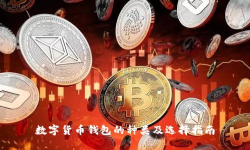 数字货币钱包的种类及选择指南