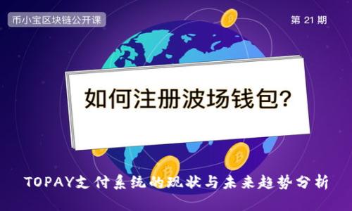 TOPAY支付系统的现状与未来趋势分析