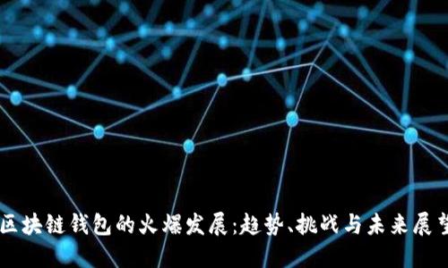 区块链钱包的火爆发展：趋势、挑战与未来展望