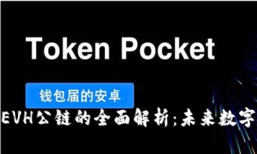 数字货币钱包和EVH公链的全面解析：未来数字资产管理的关键