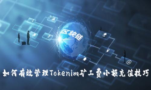 如何有效管理Tokenim矿工费小额充值技巧